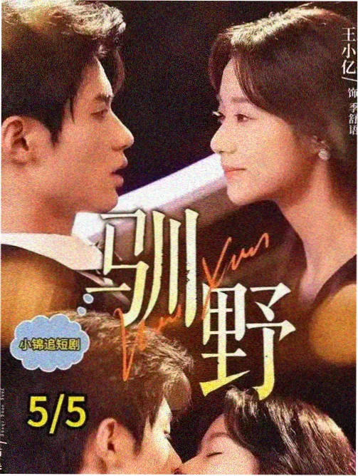 冷门佳片阁楼来信剧照